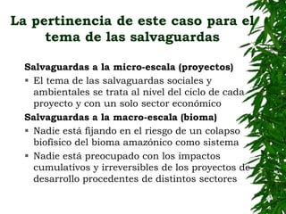 EL BIOMA AMAZÓNICO:para una salvaguarda mayor