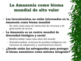 EL BIOMA AMAZÓNICO:para una salvaguarda mayor