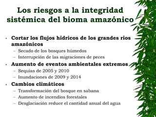 EL BIOMA AMAZÓNICO:para una salvaguarda mayor