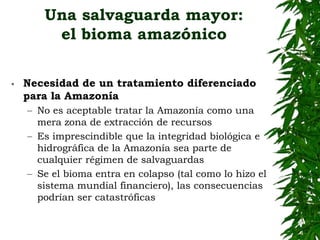 EL BIOMA AMAZÓNICO:para una salvaguarda mayor