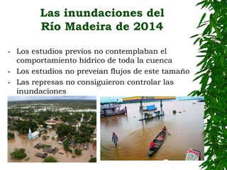 EL BIOMA AMAZÓNICO:para una salvaguarda mayor