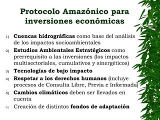 EL BIOMA AMAZÓNICO:para una salvaguarda mayor