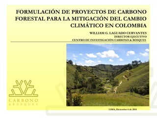 FORMULACIÓN DE PROYECTOS DE CARBONO 
FORESTAL PARA LA MITIGACIÓN DEL CAMBIO 
CLIMÁTICO EN COLOMBIA 
WILLIAM G. LAGUADO CERVANTES 
DIRECTOR EJECUTIVO 
CENTRO DE INVESTIGACIÓN CARBONO & BOSQUES 
LIMA, Diciembre 6 de 2014 
 