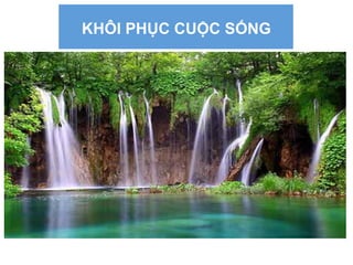 KHÔI PHỤC CUỘC SỐNG
 