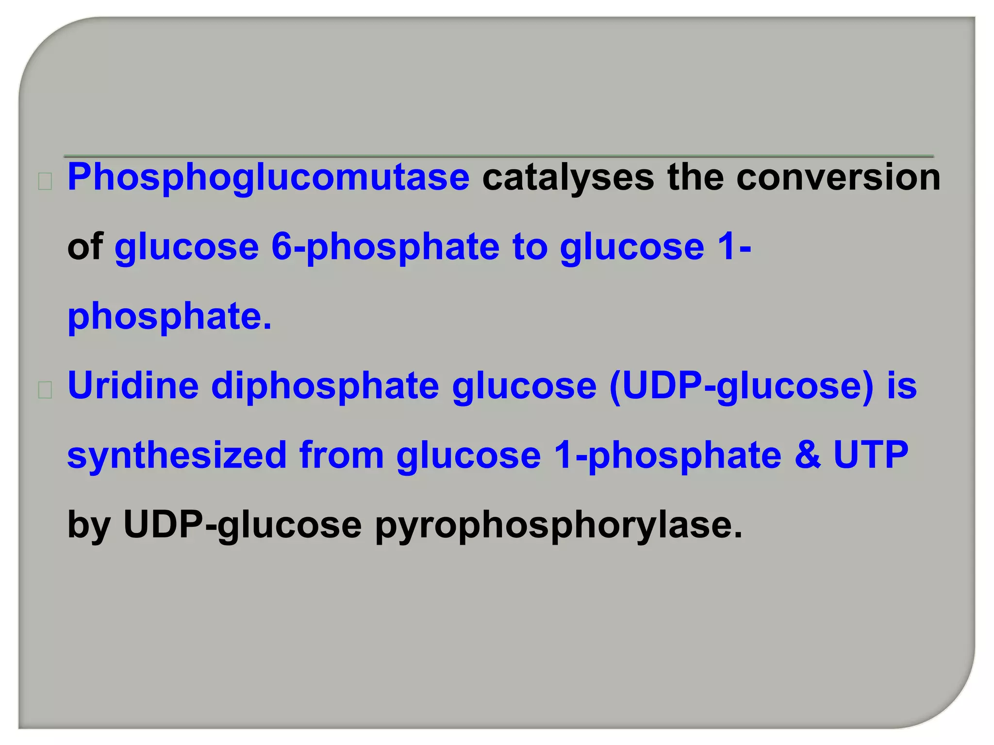 Phosphoglucomutase catalyses the conversion
of glucose 6-phosphate to glucose 1-
phosphate.
Uridine diphosphate glucose (UDP-glucose) is
synthesized from glucose 1-phosphate & UTP
by UDP-glucose pyrophosphorylase.
 
