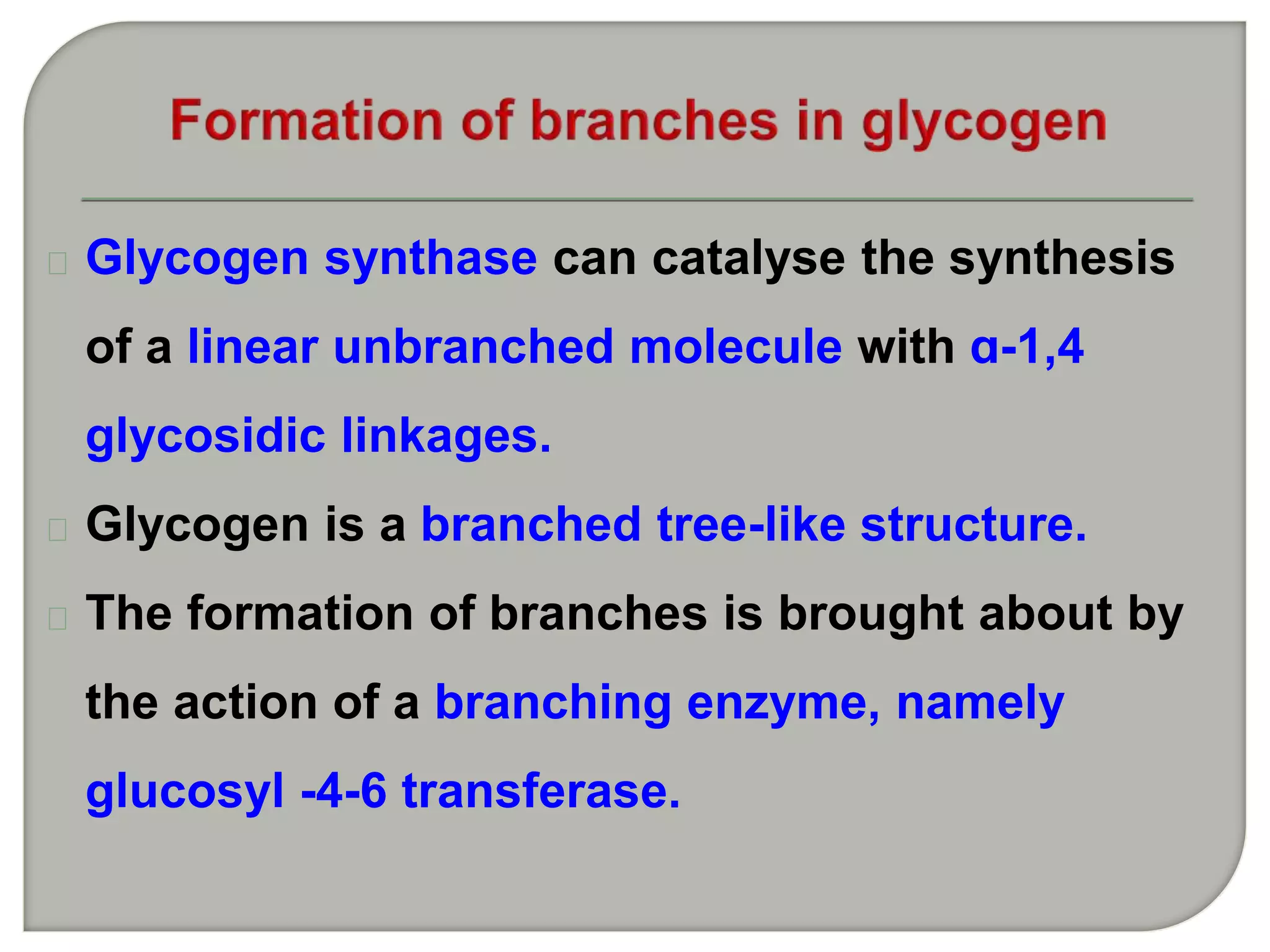 Glycogen synthase can catalyse the synthesis
of a linear unbranched molecule with ɑ-1,4
glycosidic linkages.
Glycogen is a branched tree-like structure.
The formation of branches is brought about by
the action of a branching enzyme, namely
glucosyl -4-6 transferase.
 