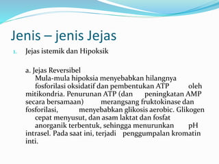 Jenis – jenis Jejas
1. Jejas istemik dan Hipoksik
a. Jejas Reversibel
Mula-mula hipoksia menyebabkan hilangnya
fosforilasi oksidatif dan pembentukan ATP oleh
mitikondria. Penurunan ATP (dan peningkatan AMP
secara bersamaan) merangsang fruktokinase dan
fosforilasi, menyebabkan glikosis aerobic. Glikogen
cepat menyusut, dan asam laktat dan fosfat
anorganik terbentuk, sehingga menurunkan pH
intrasel. Pada saat ini, terjadi penggumpalan kromatin
inti.
 