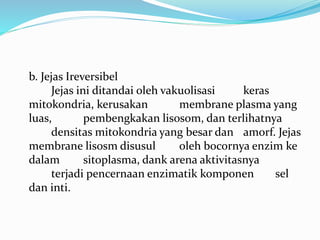 b. Jejas Ireversibel
Jejas ini ditandai oleh vakuolisasi keras
mitokondria, kerusakan membrane plasma yang
luas, pembengkakan lisosom, dan terlihatnya
densitas mitokondria yang besar dan amorf. Jejas
membrane lisosm disusul oleh bocornya enzim ke
dalam sitoplasma, dank arena aktivitasnya
terjadi pencernaan enzimatik komponen sel
dan inti.
 
