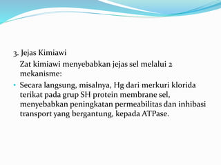 3. Jejas Kimiawi
Zat kimiawi menyebabkan jejas sel melalui 2
mekanisme:
• Secara langsung, misalnya, Hg dari merkuri klorida
terikat pada grup SH protein membrane sel,
menyebabkan peningkatan permeabilitas dan inhibasi
transport yang bergantung, kepada ATPase.
 