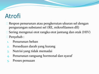 Respon penurunan atau pengkerutan ukuran sel dengan
pengurangan substansi sel (RE, mikrofilamen dll)
Sering mengenai otot rangka otot jantung dan otak (HIV)
Penyebab :
1. Penurunan beban
2. Persediaan darah yang kurang
3. Nutrisi yang tidak memadai
4. Penurunan rangsang hormonal dan syaraf
5. Proses penuaan
Atrofi
 