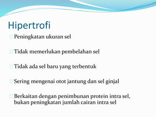Peningkatan ukuran sel
Tidak memerlukan pembelahan sel
Tidak ada sel baru yang terbentuk
Sering mengenai otot jantung dan sel ginjal
Berkaitan dengan penimbunan protein intra sel,
bukan peningkatan jumlah cairan intra sel
Hipertrofi
 