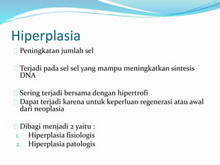 Peningkatan jumlah sel
Terjadi pada sel sel yang mampu meningkatkan sintesis
DNA
Sering terjadi bersama dengan hipertrofi
Dapat terjadi karena untuk keperluan regenerasi atau awal
dari neoplasia
Dibagi menjadi 2 yaitu :
1. Hiperplasia fisiologis
2. Hiperplasia patologis
Hiperplasia
 