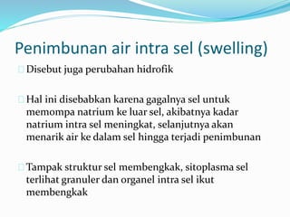 Disebut juga perubahan hidrofik
Hal ini disebabkan karena gagalnya sel untuk
memompa natrium ke luar sel, akibatnya kadar
natrium intra sel meningkat, selanjutnya akan
menarik air ke dalam sel hingga terjadi penimbunan
Tampak struktur sel membengkak, sitoplasma sel
terlihat granuler dan organel intra sel ikut
membengkak
Penimbunan air intra sel (swelling)
 