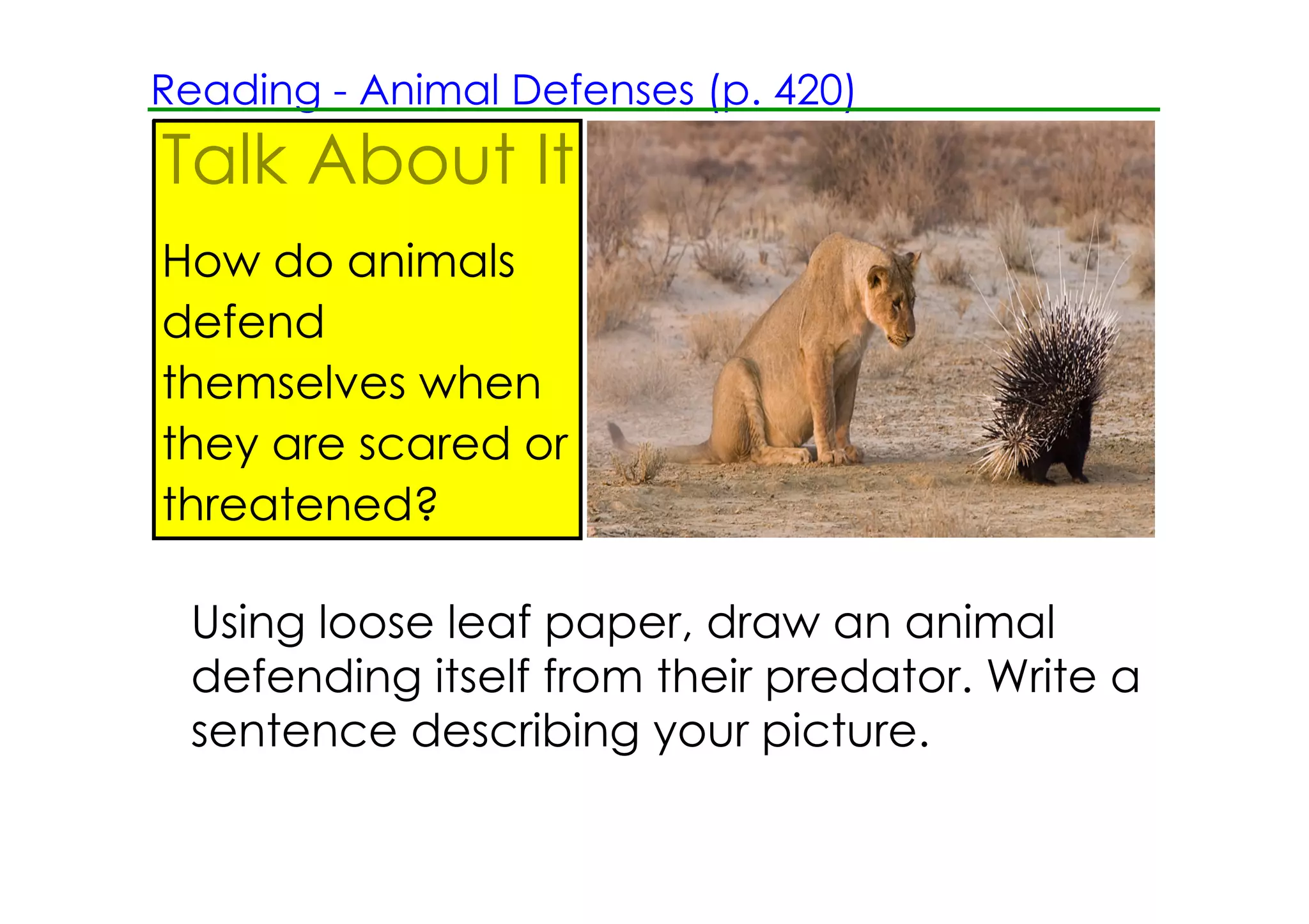 Reading ­ Animal Defenses (p. 420)
           Talk About It
           How do animals
           defend
           themselves when
           they are scared or
           threatened?            Look at the picture and respond in writing.
Activity




            Using loose leaf paper, draw an animal
            defending itself from their predator. Write a
            sentence describing your picture.
 