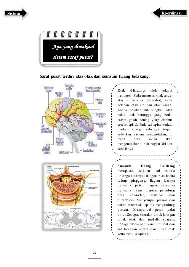 Buku Sistem Koordinasi