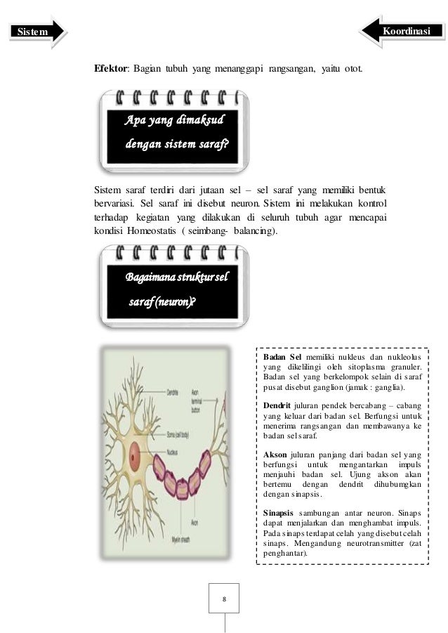 Buku Sistem Koordinasi