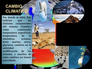 CAMBIO
CLIMATICO
Por donde se mire, hay
indicios que las
distintas componentes
del sistema climático
están cambiando:
temperatura superficial,
temperatura de la
atmósfera, océanos,
hielo marino, nieve,
glaciares, cambios en la
salinidad y
acidificación de los
océanos, y muchos de
estos cambios no tienen
precedente.
 