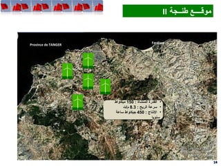 FardiwaFardiwa
Province de TANGER
1414
‫طنــجة‬ ‫موقــــع‬II ‫طنــجة‬ ‫موقــــع‬II
•: ‫المنشأة‬ ‫القدرة‬150‫ميكاواط‬
•: ‫الريح‬ ‫سرعة‬8.3‫م/ت‬
•: ‫النتاج‬450‫ساعة‬ ‫جيكاواط‬
‫سنويا‬
•: ‫المنشأة‬ ‫القدرة‬150‫ميكاواط‬
•: ‫الريح‬ ‫سرعة‬8.3‫م/ت‬
•: ‫النتاج‬450‫ساعة‬ ‫جيكاواط‬
‫سنويا‬
 