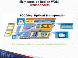Transponders
http://www.ntt-electronics.com/en/optical/ecoc2012.html
 