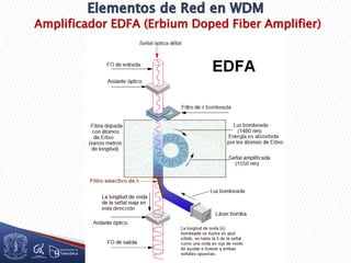 Amplificador EDFA (Erbium Doped Fiber Amplifier)
 