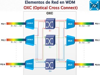 OXC (Optical Cross Connect)
 