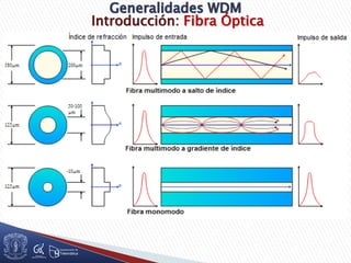 Introducción: Fibra Óptica
 