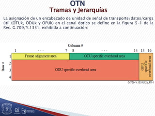 Tramas y Jerarquías
La asignación de un encabezado de unidad de señal de transporte/datos/carga
útil (OTUk, ODUk y OPUk) en el canal óptico se define en la figura 5-1 de la
Rec. G.709/Y.1331, exhibida a continuación:
 