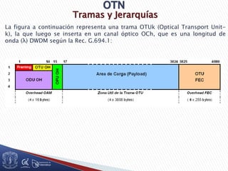 Tramas y Jerarquías
La figura a continuación representa una trama OTUk (Optical Transport Unit-
k), la que luego se inserta en un canal óptico OCh, que es una longitud de
onda (λ) DWDM según la Rec. G.694.1:
 