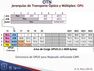 Jerarquías de Transporte Óptico y Múltiplex: OPU
Estructura de OPU0 para Mapeado utilizando GMP.
O. R. Pons (2014)
 