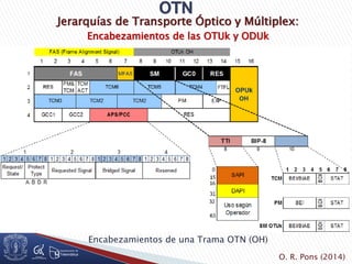 Jerarquías de Transporte Óptico y Múltiplex:
Encabezamientos de las OTUk y ODUk
Encabezamientos de una Trama OTN (OH)
O. R. Pons (2014)
 