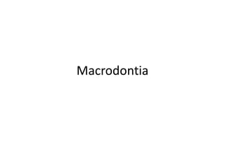Macrodontia
 