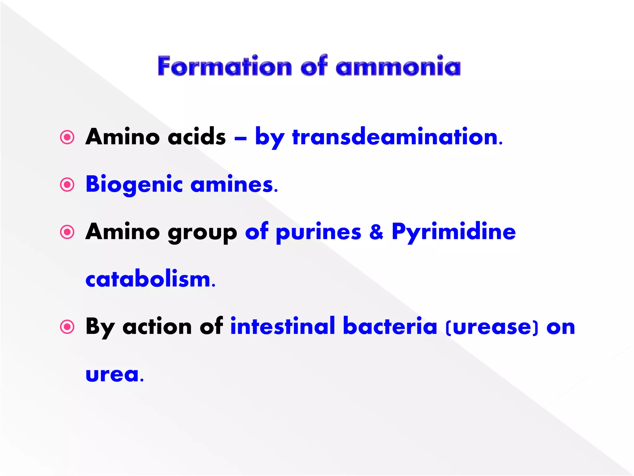  Amino acids – by transdeamination.
 Biogenic amines.
 Amino group of purines & Pyrimidine
catabolism.
 By action of intestinal bacteria (urease) on
urea.
 