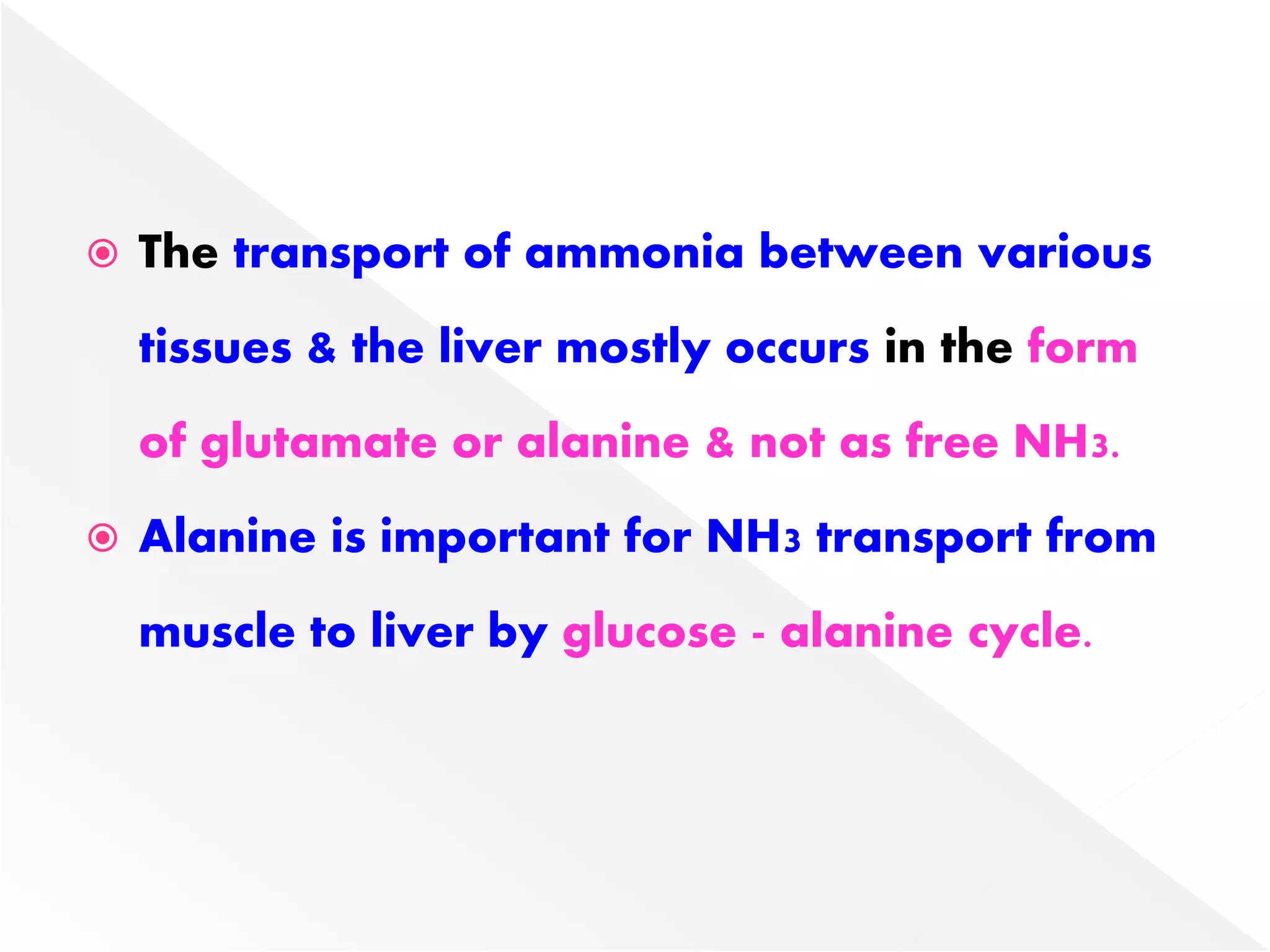 The transport of ammonia between various
tissues & the liver mostly occurs in the form
of glutamate or alanine & not as free NH3.
 Alanine is important for NH3 transport from
muscle to liver by glucose - alanine cycle.
 