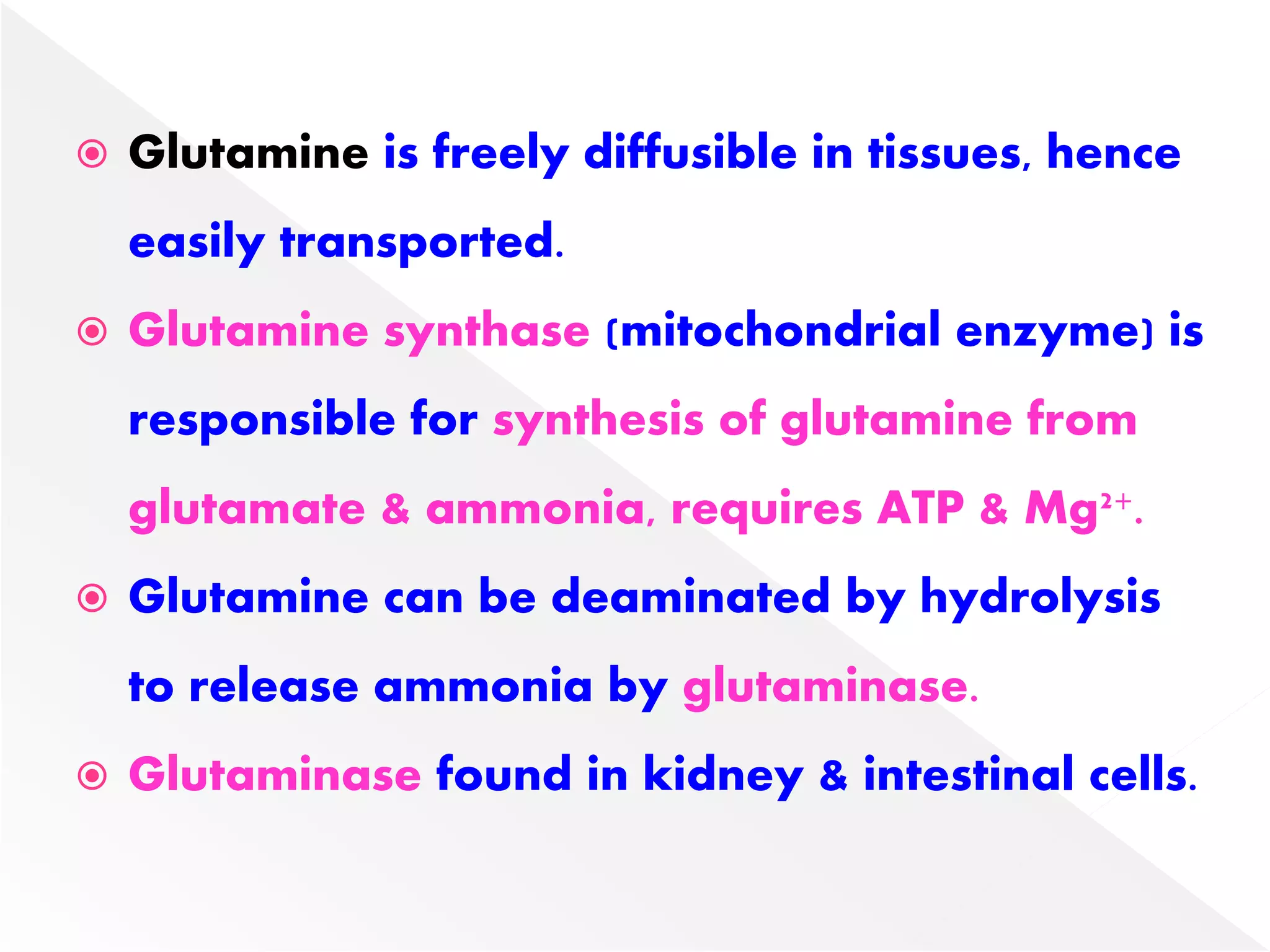 Glutamine is freely diffusible in tissues, hence
easily transported.
 Glutamine synthase (mitochondrial enzyme) is
responsible for synthesis of glutamine from
glutamate & ammonia, requires ATP & Mg2+.
 Glutamine can be deaminated by hydrolysis
to release ammonia by glutaminase.
 Glutaminase found in kidney & intestinal cells.
 
