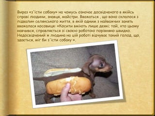 Вираз «з'їсти собаку» на чомусь означає досвідченого в якійсь
справі людини, знавця, майстри. Вважаться , що воно склалося...