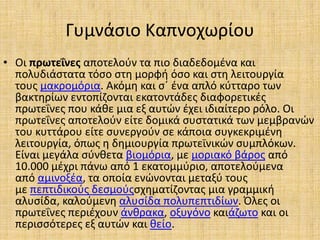 Γυμνάσιο Καπνοχωρίου
• Οι πρωτεΐνες αποτελούν τα πιο διαδεδομένα και
πολυδιάστατα τόσο στη μορφή όσο και στη λειτουργία
το...