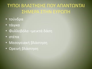 ΤΥΠΟΙ ΒΛΑΣΤΗΣΗΣ ΠΟΥ ΑΠΑΝΤΩΝΤΑΙ
ΣΗΜΕΡΑ ΣΤΗΝ ΕΥΡΩΠΗ
• τούνδρα
• τάιγκα
• Φυλλοβόλα –μεικτά δάση
• στέπα
• Μεσογειακή βλάστηση
• Ορεινή βλάστηση
 