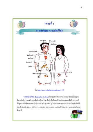 5
กรอบที่ 1
ความสาคัญของระบบต่อมไร้ท่อ
ที่มา http://www.vcharkarn.com/lesson/1195
ระบบต่อมไร้ท่อ (Endocrine System) คือ ระบบที่ประกอบด้วยต่อมไร้ท่อที่ตั้งอยู่ใน
ตาแหน่งต่าง ๆ ของร่างกายซึ่งต่อมดังกล่าวจะมีหน้าที่ผลิตฮอร์โมน (Hormone) ซึ่งเป็นสารเคมี
ที่มีคุณสมบัติพิเศษเฉพาะตัวที่กระตุ้นให้อวัยวะต่าง ๆ ในร่างกายทางานและมีการเจริญเติบโตได้
ตามปกติ แต่ลักษณะการทางานของระบบประสาทและระบบต่อมไร้ท่อจะมีความแตกต่างกัน อยู่ 3
ข้อ ดังนี้
 