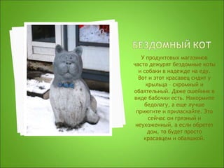 У продуктовых магазинов
часто дежурят бездомные коты
и собаки в надежде на еду.
Вот и этот красавец сидит у
крыльца – скромный и
обаятельный. Даже ошейник в
виде бабочки есть. Накормите
бедолагу, а еще лучше
приютите и приласкайте. Это
сейчас он грязный и
неухоженный, а если обретет
дом, то будет просто
красавцем и обаяшкой.
 