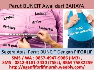 Agen Fiforlif Padang, 0812-3181-2430 (TSel), Beli Fiforlif Padang, Jual Fiforlif Padang