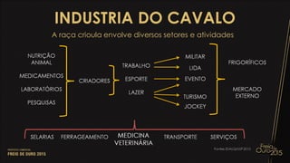 INDUSTRIA DO CAVALO
A raça crioula envolve diversos setores e atividades
 