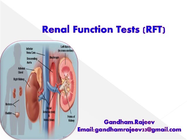 Renal Function Tests Rft