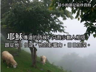 新春稱謝禮拜