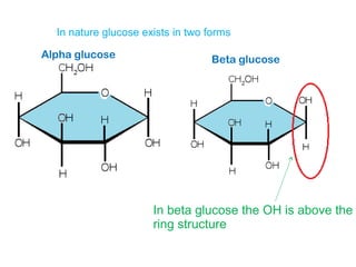 beta glucose structure