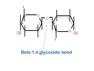2 Carbohydrates PPT 2-carbohydrates-ppt