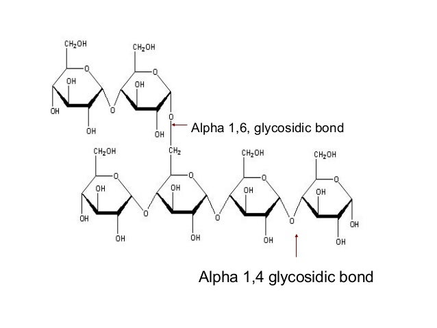 Тест 2 углеводы. Циклодекандион-1,6. 6 Дезоксикобаламин. What do we Call a 1,4 glycosidic Bond?\.