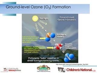 28
Ground-level Ozone (O3) Formation
http://aura.gsfc.nasa.gov/outreach/garden_faq.html
 
