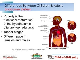 9
Differences Between Children & Adults
Endocrine System
• Puberty is the
functional maturation
of the hypothalamic–
pituitary–gonadal axis
• Tanner stages
• Different pace in
females and males
Golub MS 2000. Environ Health Perspect 108:355–362
 