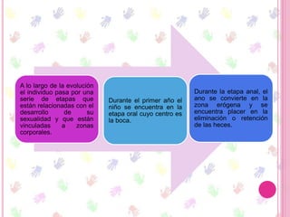 A lo largo de la evolución
el individuo pasa por una
serie de etapas que
están relacionadas con el
desarrollo de su
sexualidad y que están
vinculadas a zonas
corporales.
Durante el primer año el
niño se encuentra en la
etapa oral cuyo centro es
la boca.
Durante la etapa anal, el
ano se convierte en la
zona erógena y se
encuentra placer en la
eliminación o retención
de las heces.
 