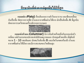 ศึกษาึϸนที่ทาการปลุกพืชได้ดีที่สุด
แบบแผ่น (Platy) ก้อนึϸนแบนวางตัวในแนวราบ และซ้อนเหลื่อม
กันเป็นชั้น ขัดขวากรากพืช น้าและอากาศซึมผ่านได้ยาก มักเป็นึϸนชั้น A ที่ถูกบีบ
อัดจากการบดไถของเครื่องจักรกลการเกษตร
แบบแท่งหัวมน (Columnar) มีการจับตัวคล้ายคลึงกับแบบแท่งหัว
เหลี่ยม แต่ส่วนบนของปลายแท่งมีลักษณะกลมมน ปกคลุมด้วยเกลือ เม็ดึϸนมี
ขนาด 1 - 10 เซนติเมตร มักพบในึϸนชั้น B และเกิดในเขตแห้งแล้ง น้าและ
อากาศซึมผ่านได้น้อย และมีการสะสมของโซเดียมสูง
 